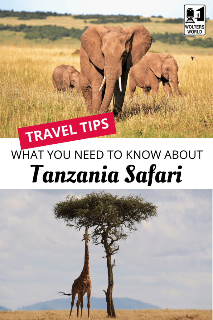 safari travel advice