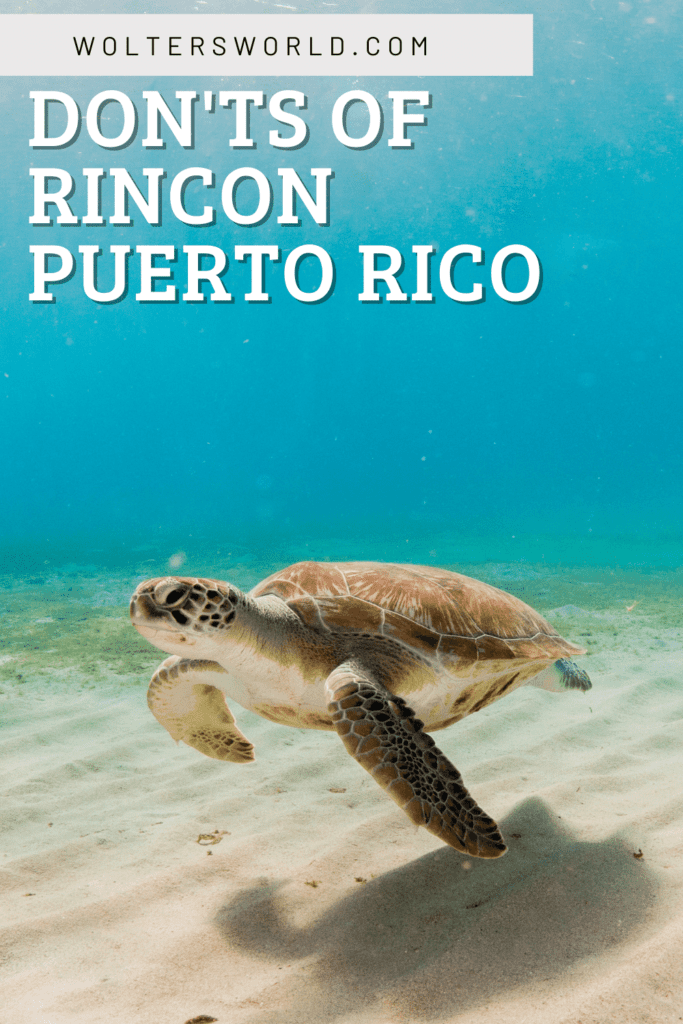 Rincon tourism