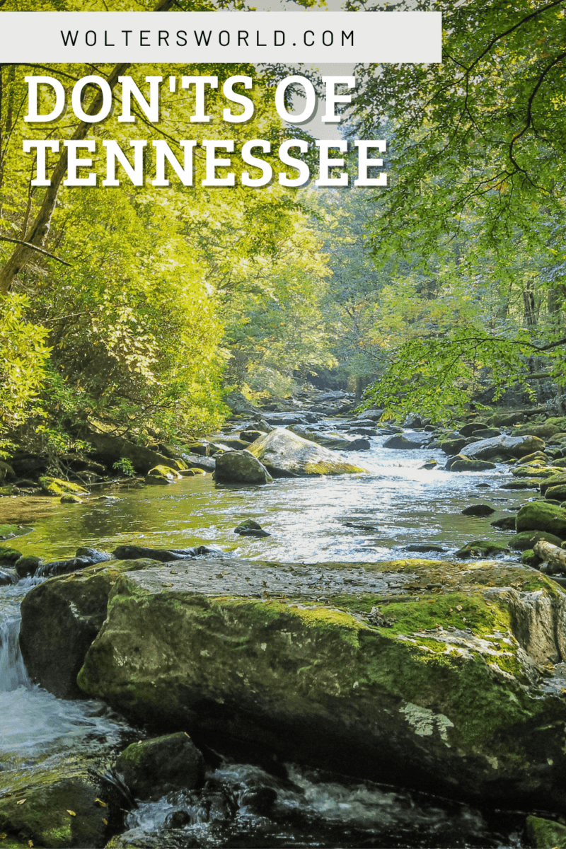 What NOT to Do in Tennessee Wolters World